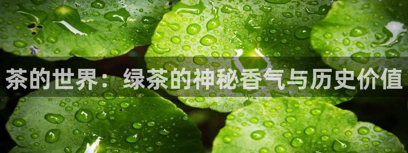 鸿运彩 票诈骗平台