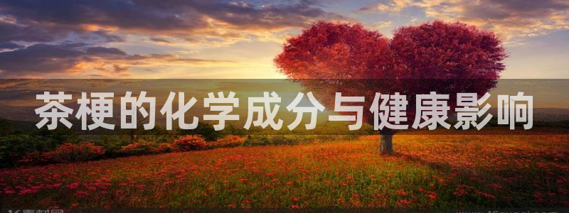 鸿运电器直播平台