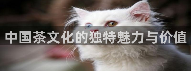鸿运当头购物平台