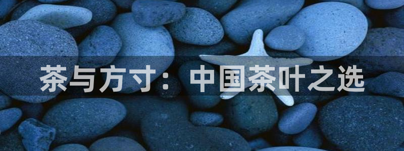 鸿运CT平台