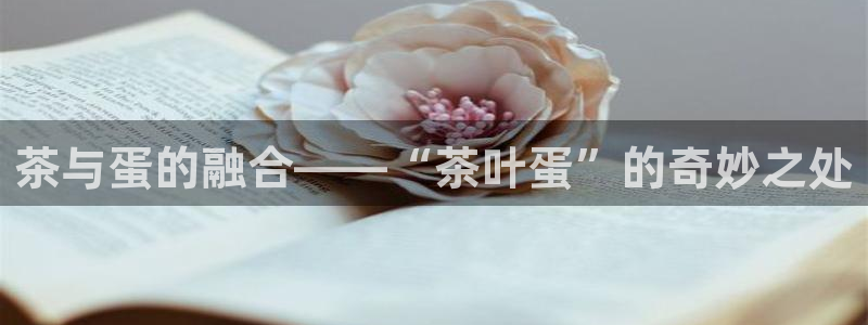 鸿运乐彩平台