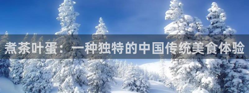 铜陵鸿运拍卖平台