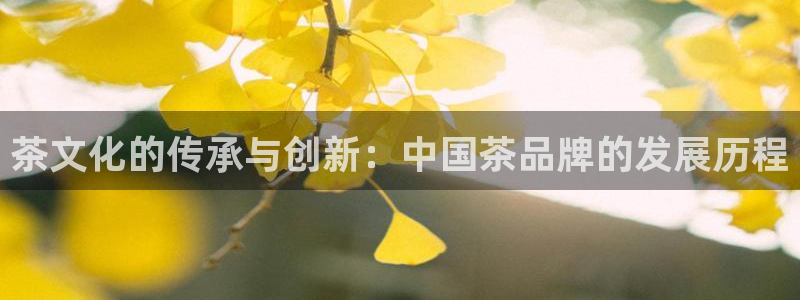 大发鸿运平台网址