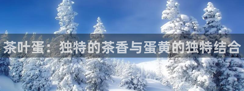 鸿运通平台客服