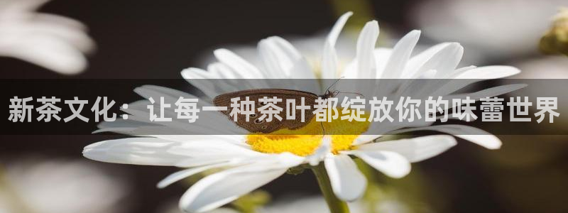 鸿运串串团购平台