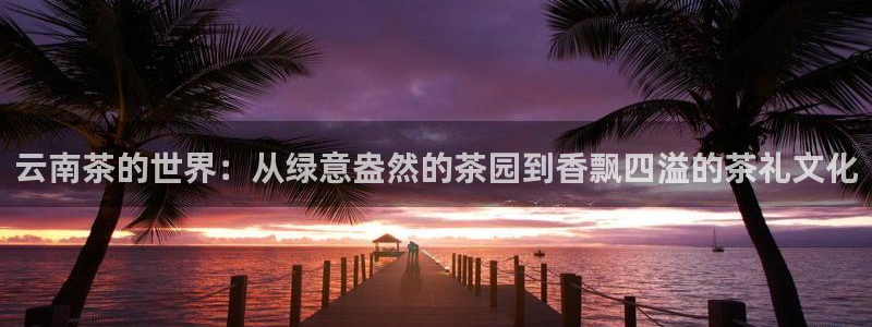 鸿运平台攻略