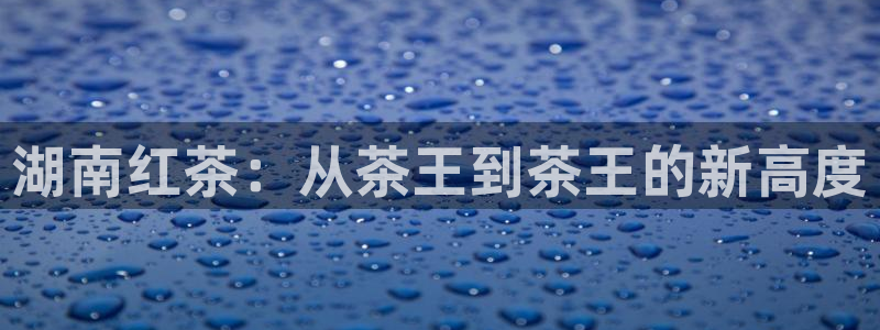 鸿运来手游平台