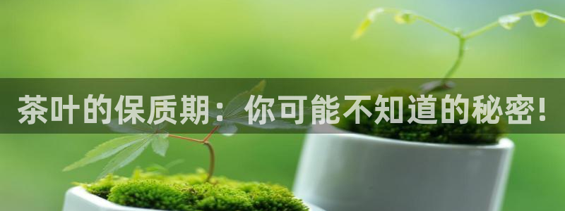 鸿运卡盟平台登录