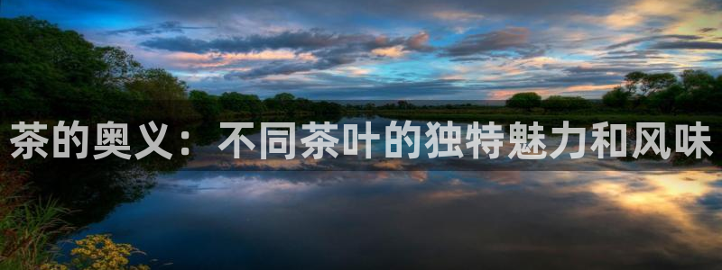 鸿运交易平台app