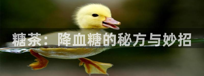 鸿运当头购物平台