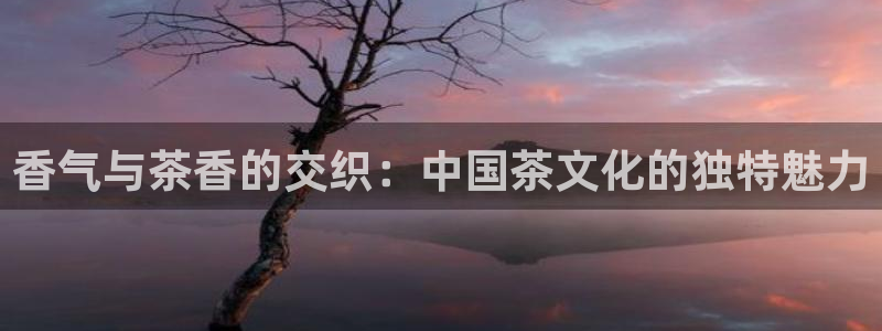 鸿运平台代理台