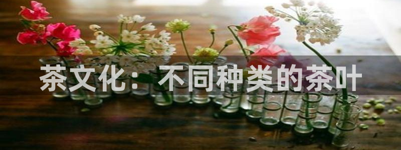 鸿运商通管理平台