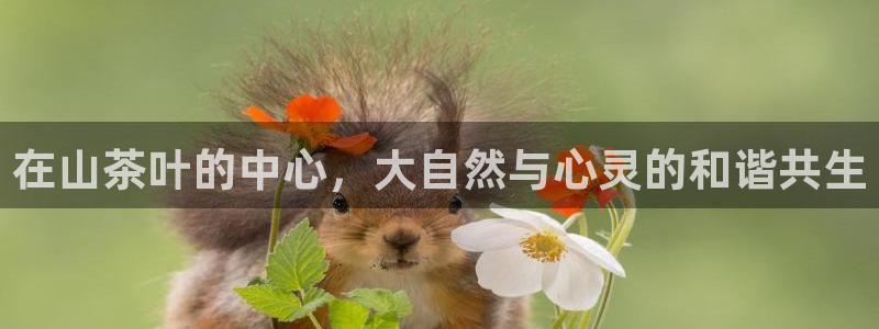 菲律宾鸿运彩票平台