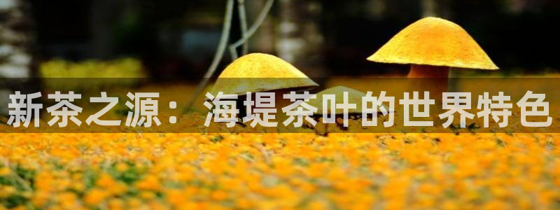 鸿运彩票专业购买平台