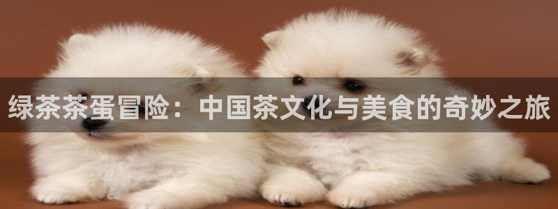 鸿运汽车团购平台