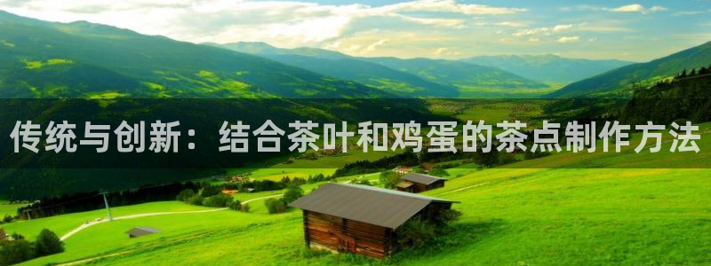 鸿运网平台是什么