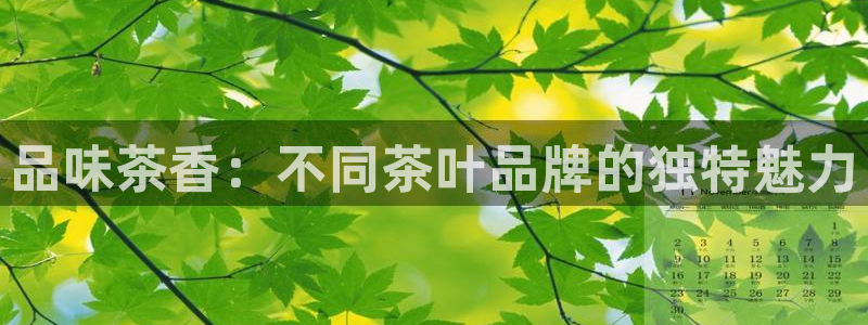 鸿运汽车团购平台