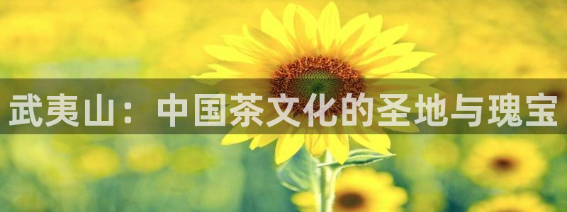 鸿运直播平台会员