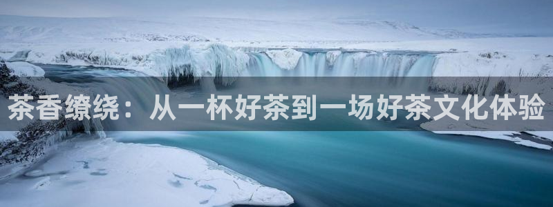 鸿运国际平台咋样