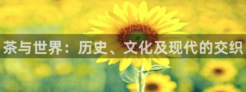 鸿运当头平台画