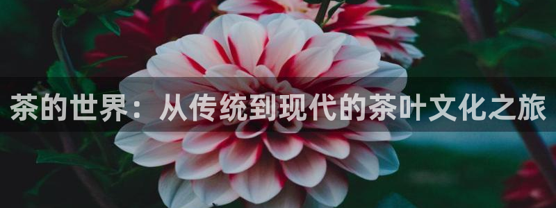 鸿运来彩票平台