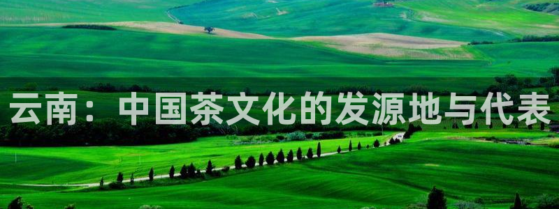 鸿运直播平台安卓版