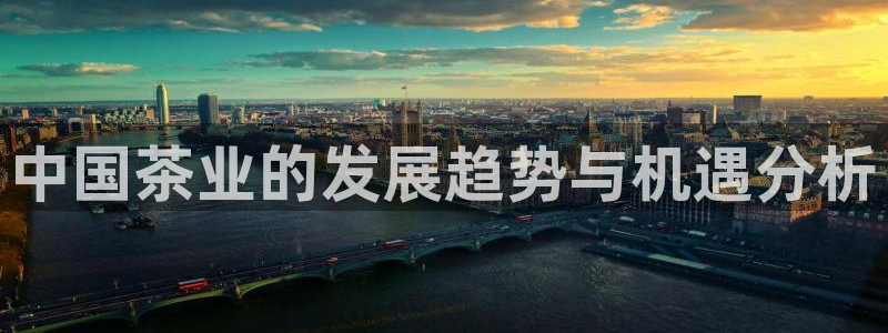 鸿运集团有几个平台