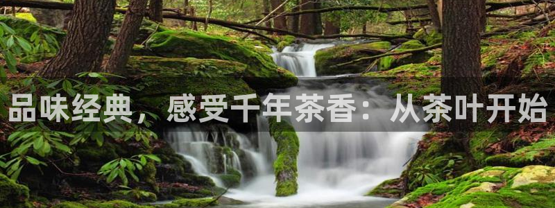 鸿运商城云平台