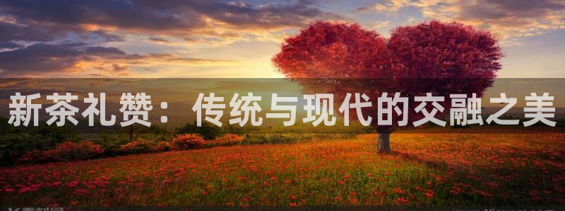 鸿运国际平台平