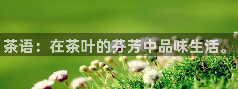 铜陵鸿运拍卖平台