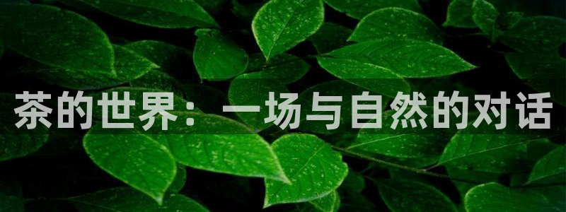 鸿运平台注册流程视频