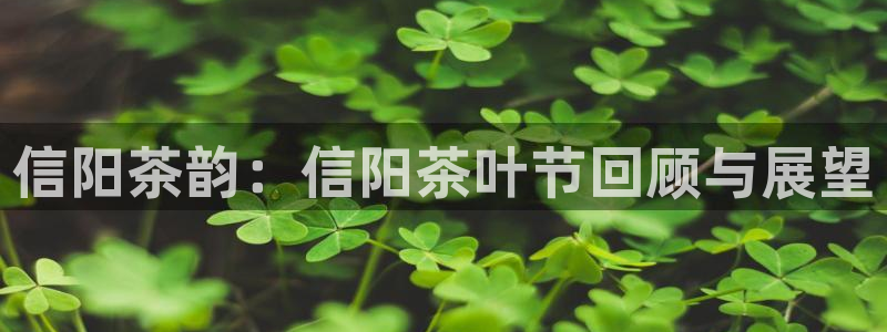 鸿运注册平台官网