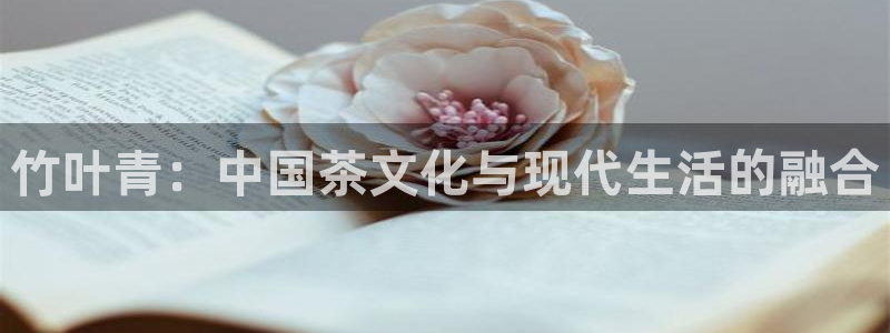 鸿运国际娱乐平台