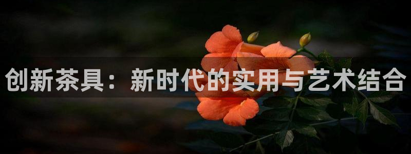 鸿运专业购彩平台网止