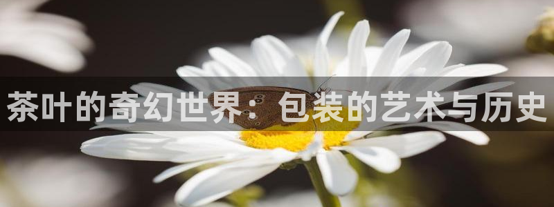 鸿运平台下载