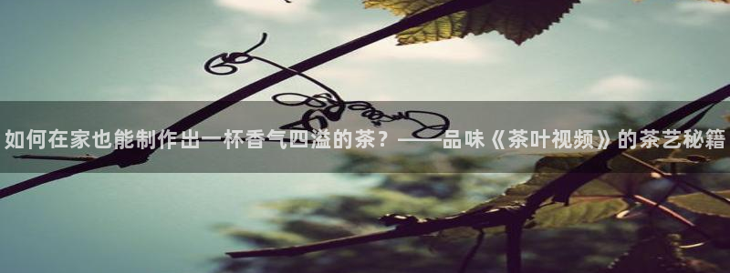 鸿运快三直播平台