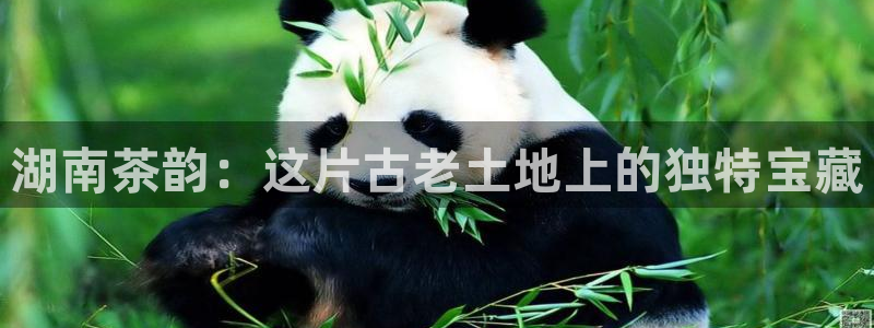 鸿运是黑平台吗