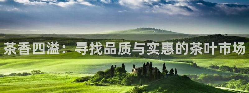 鸿运宝理财平台