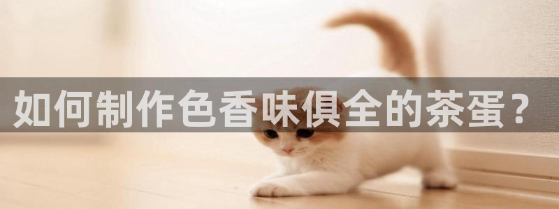 鸿运最新平台是什么