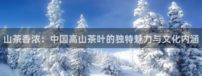 鸿运彩票平台注册