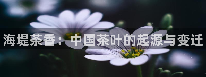 鸿运国际时时彩平台