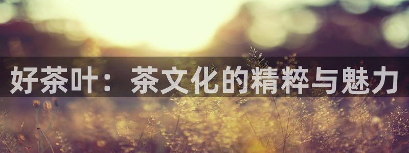 鸿运快三彩票平台