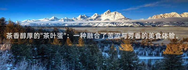 鸿运投资平台是什么平台