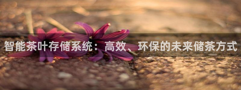 鸿运彩票是正规平台