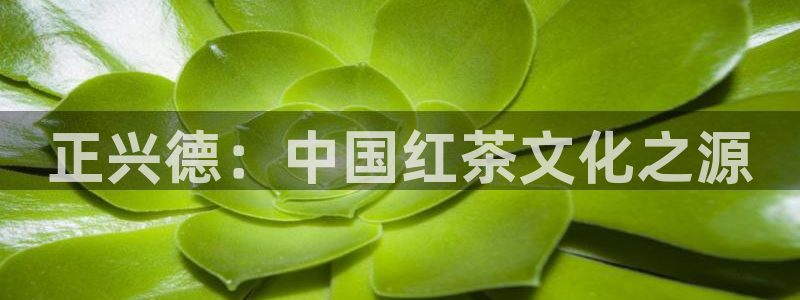 鸿运网络麻将平台