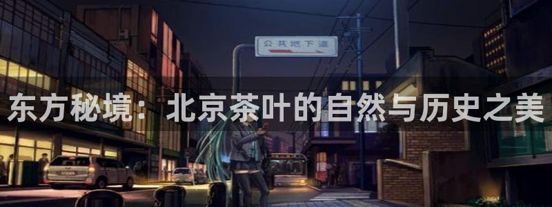 鸿运平台投资诈骗