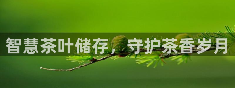 鸿运牛骨服务平台