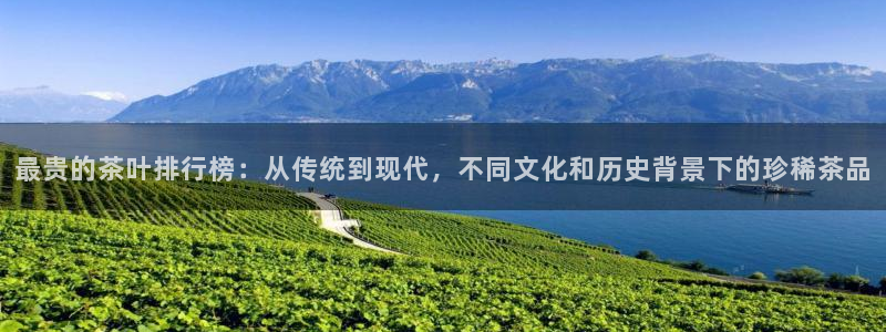 鸿运大发总代理平台