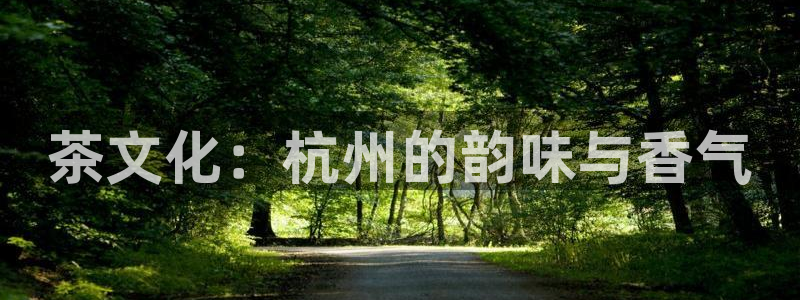 正规鸿运国际平台