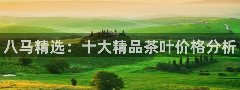 鸿运借款平台可靠吗